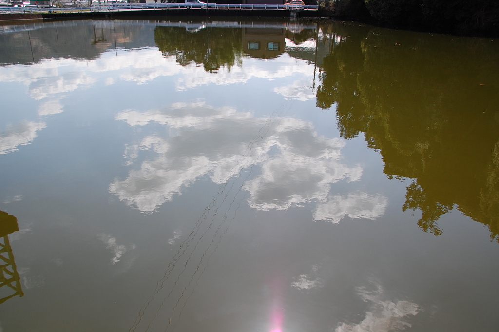 雲