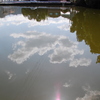 雲