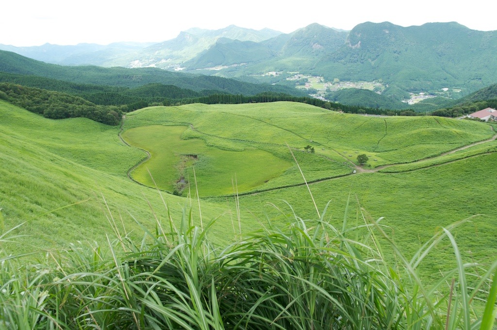 緑燃える高原