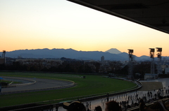 富士ビュー（東京競馬場）