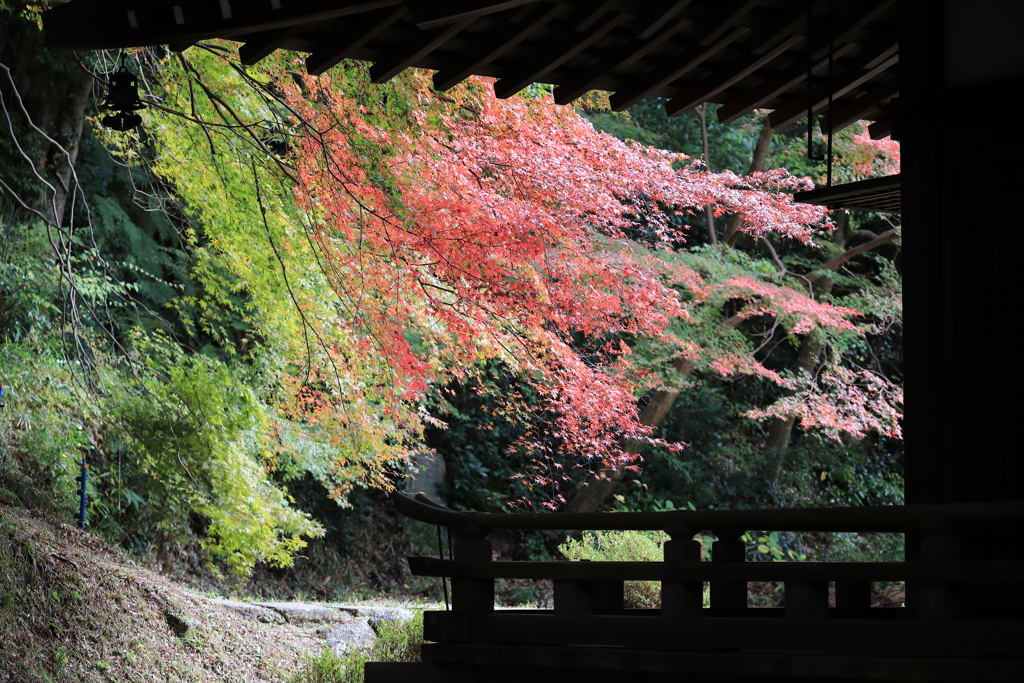 弘川寺