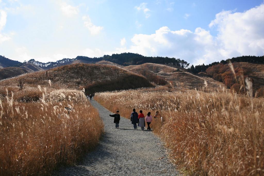 砥峰高原