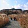 砥峰高原
