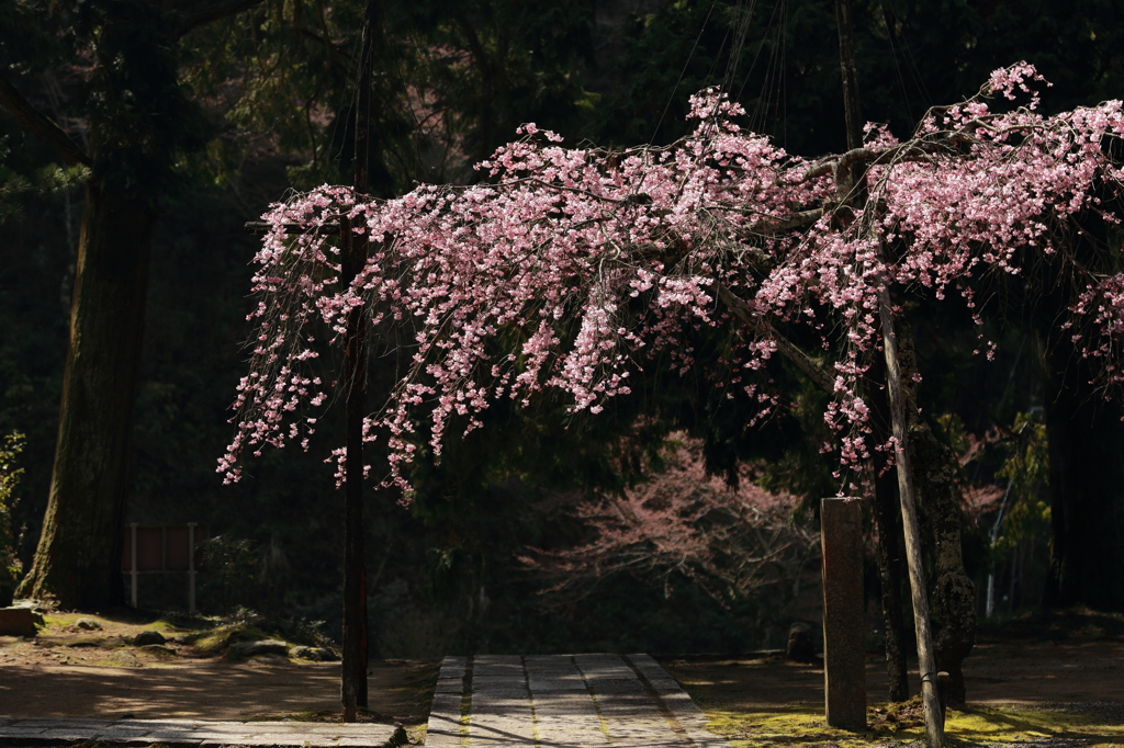 弘川寺