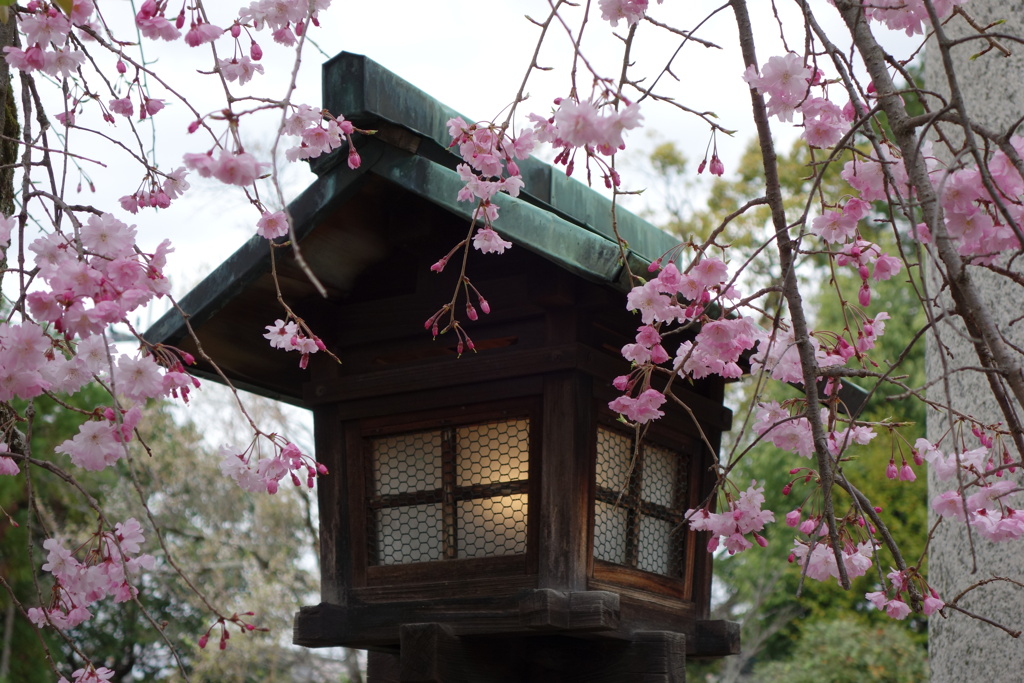 三輪恵比寿神社