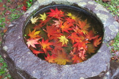 鶏足寺