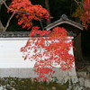 哲学の道