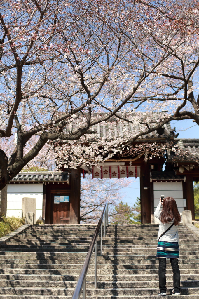 道明寺天満宮