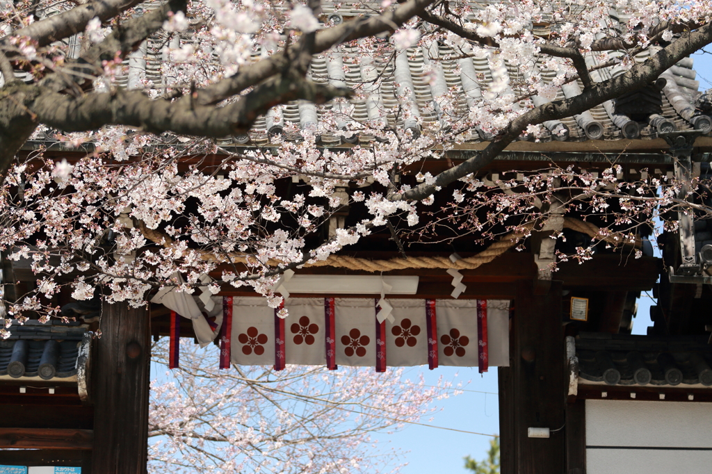 道明寺天満宮