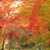 弘川寺