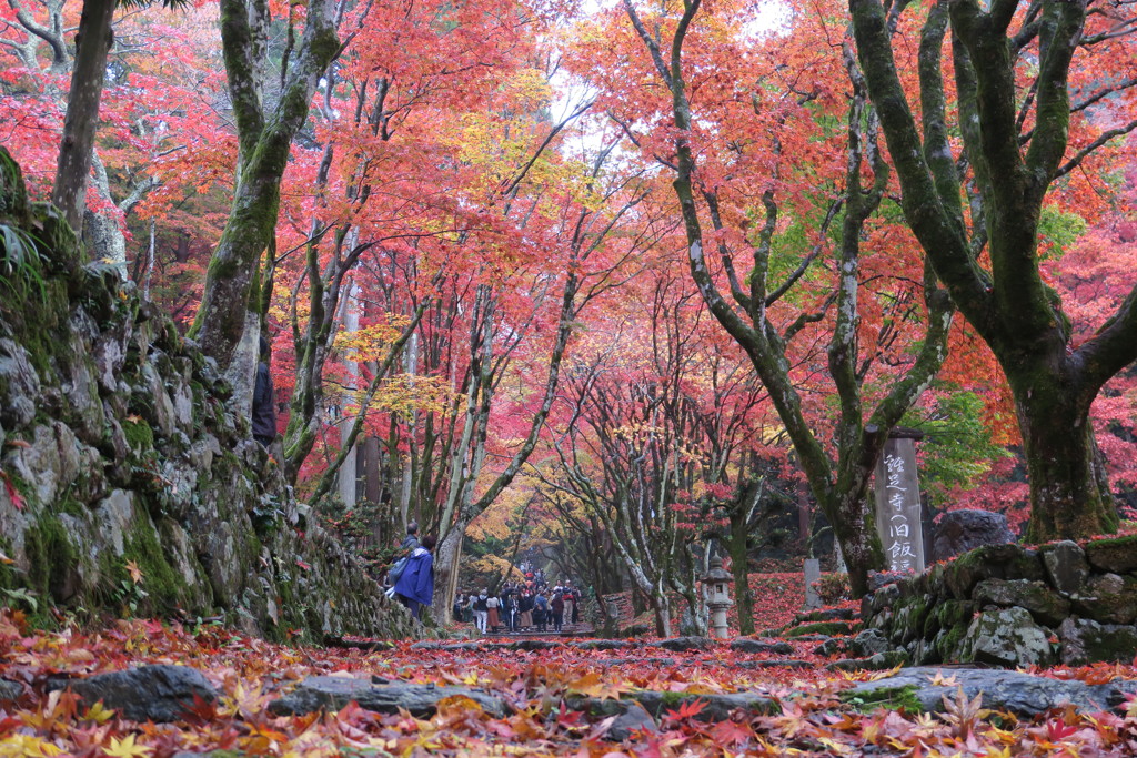 鶏足寺