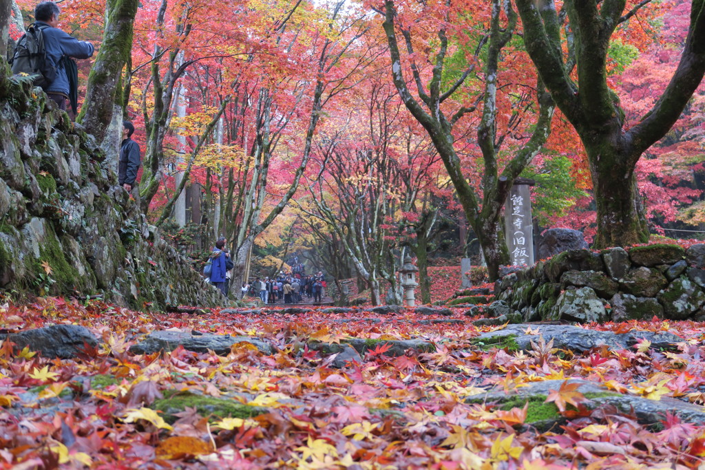 鶏足寺