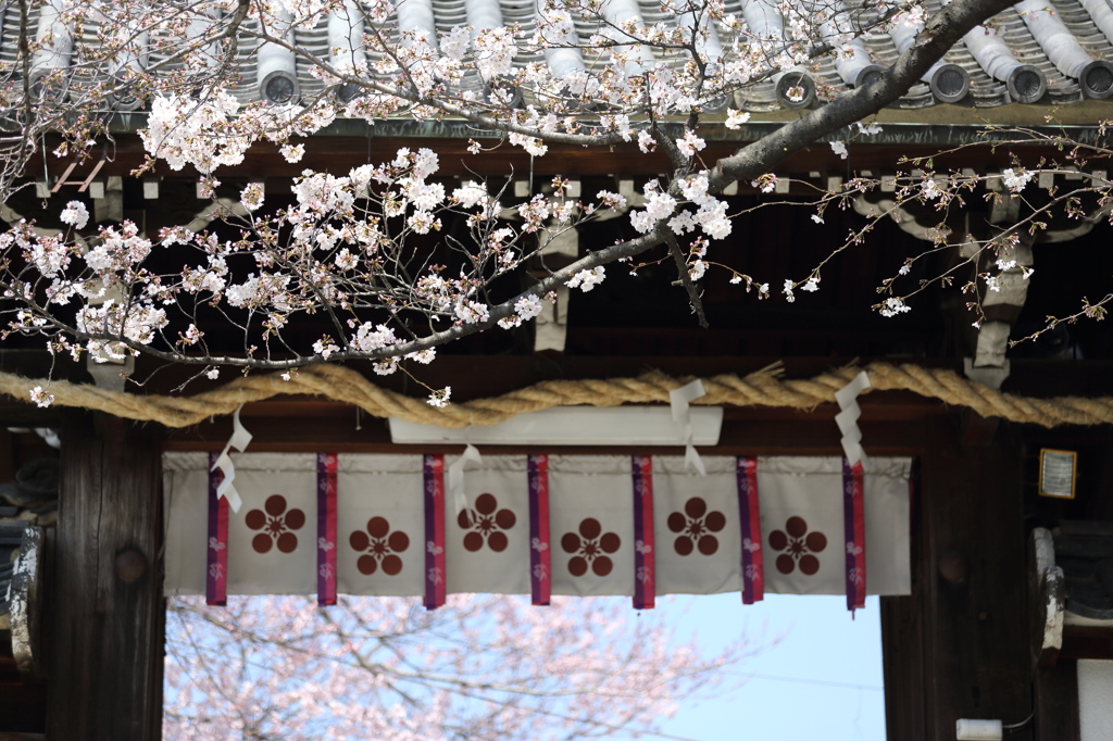 道明寺天満宮