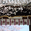 道明寺天満宮