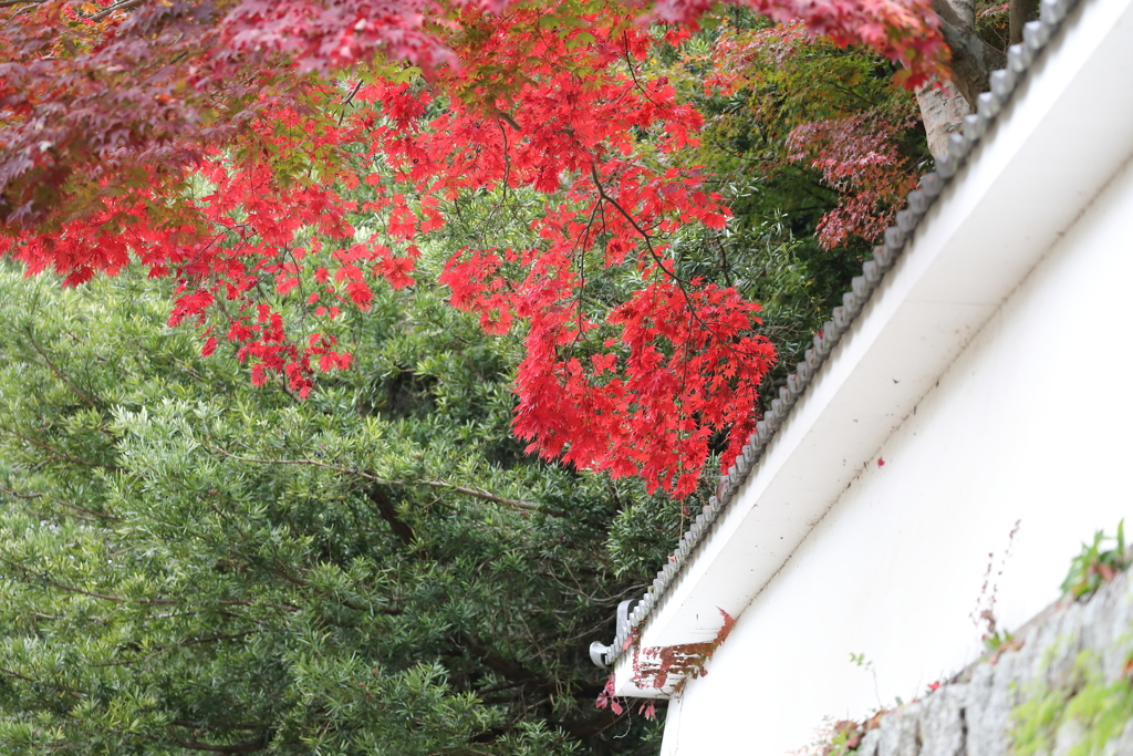 弘川寺