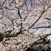 道明寺天満宮