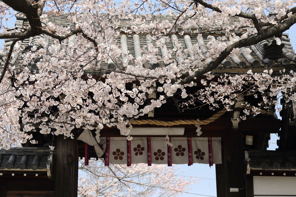 道明寺天満宮