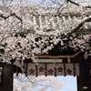 道明寺天満宮
