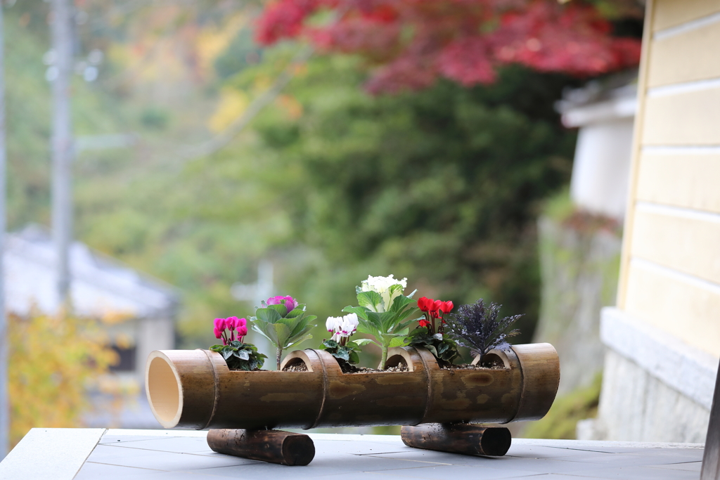 弘川寺