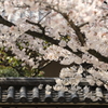 道明寺天満宮
