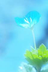 P3286091r-ss