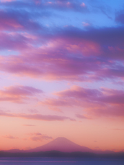_1023388-s