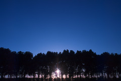 P3155453r-s