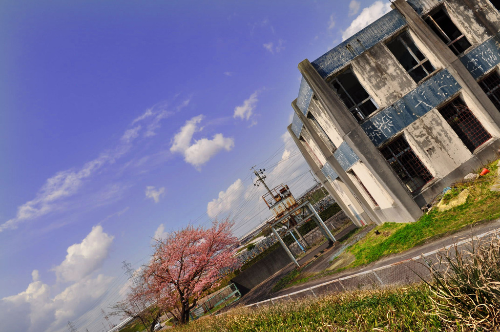 桜と空と排水場と春爛漫