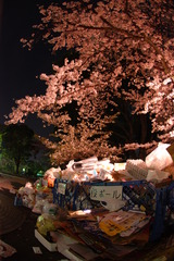 ゴミと桜
