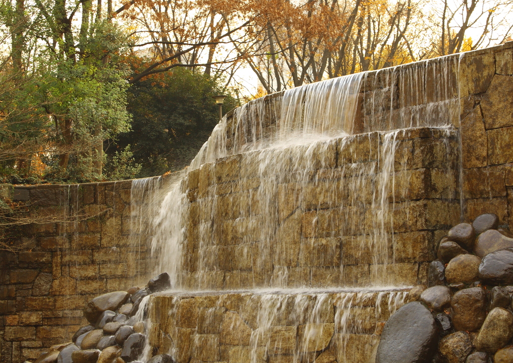 新宿中央公園その1　081213