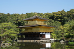 金閣寺