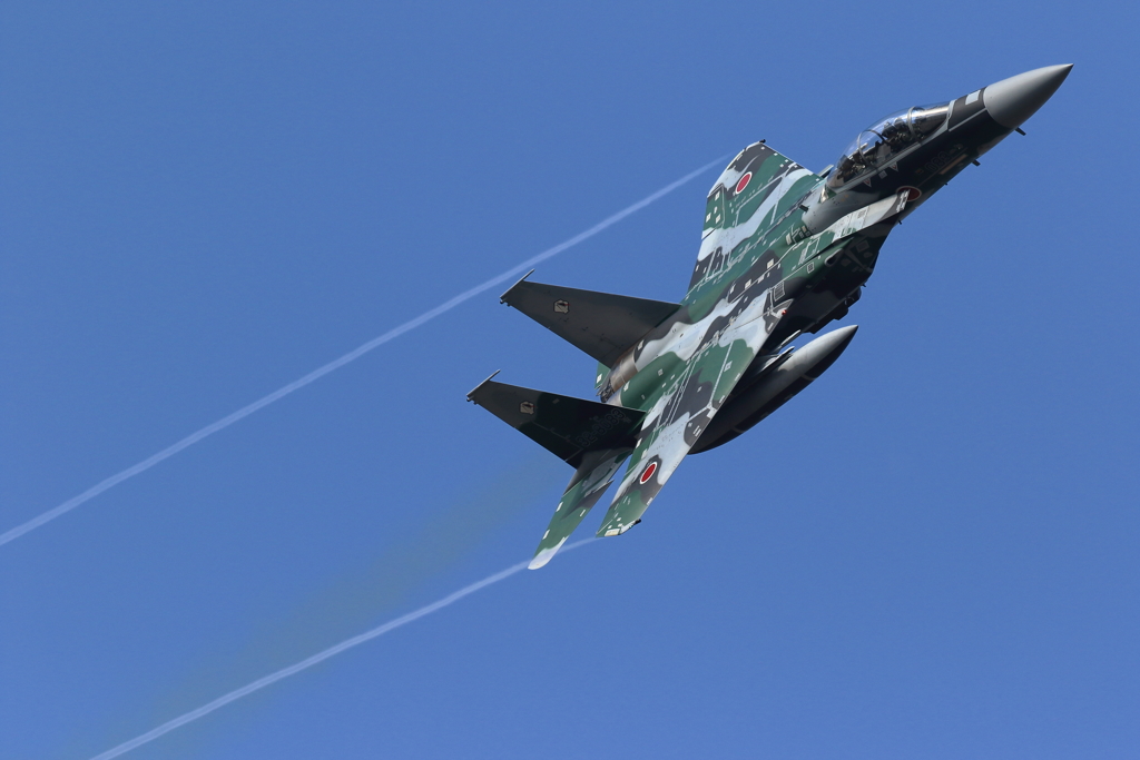 2017百里基地アグレッサーその3