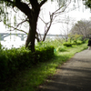 散歩道