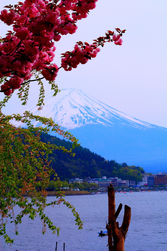 Mt.Fuji