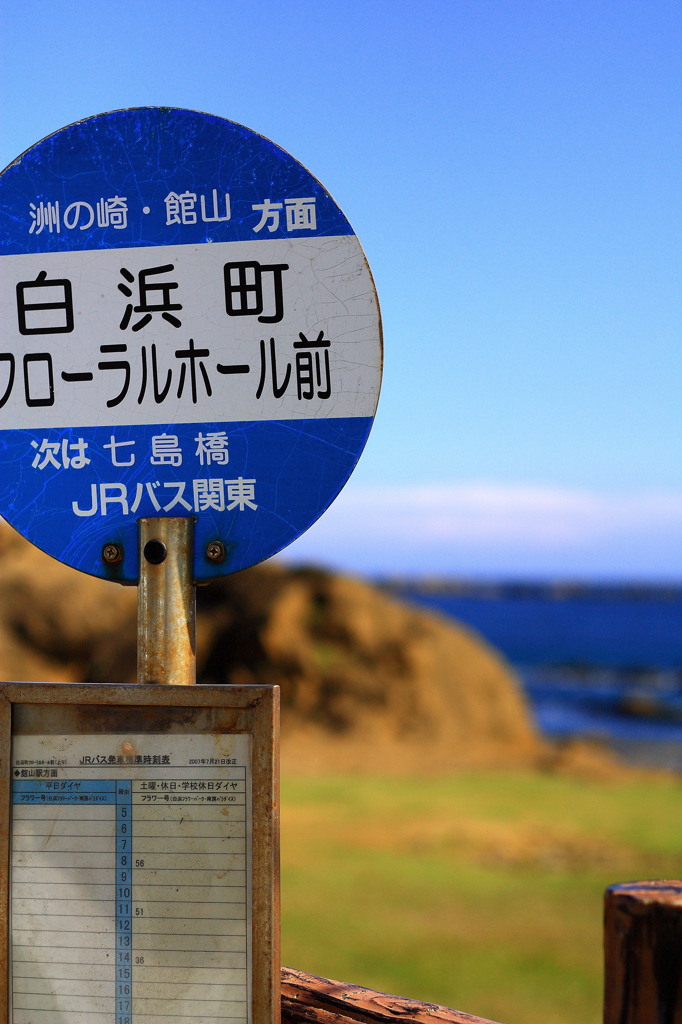本数、少な！！