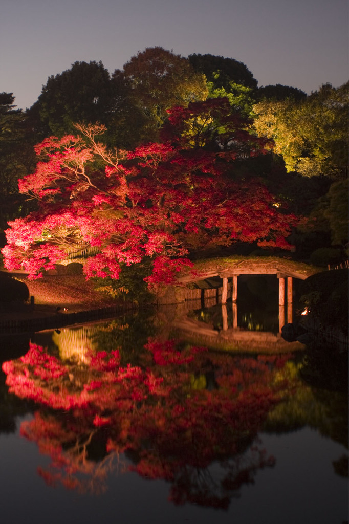 08六義園