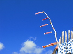 blue sky and fish
