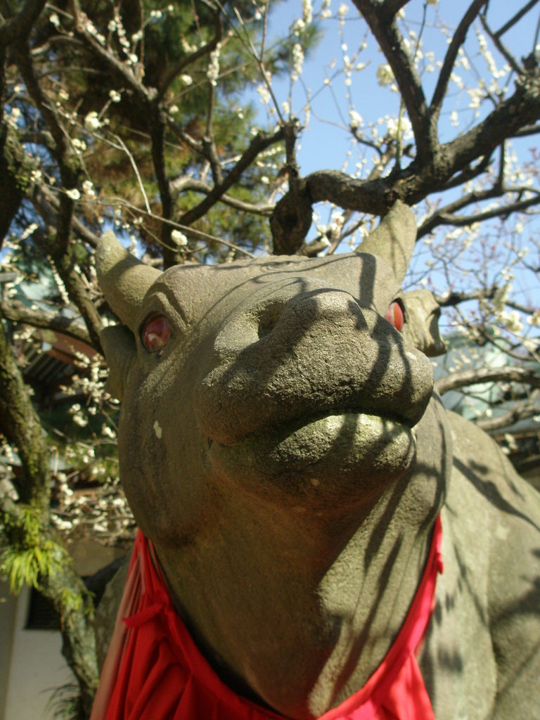 充血