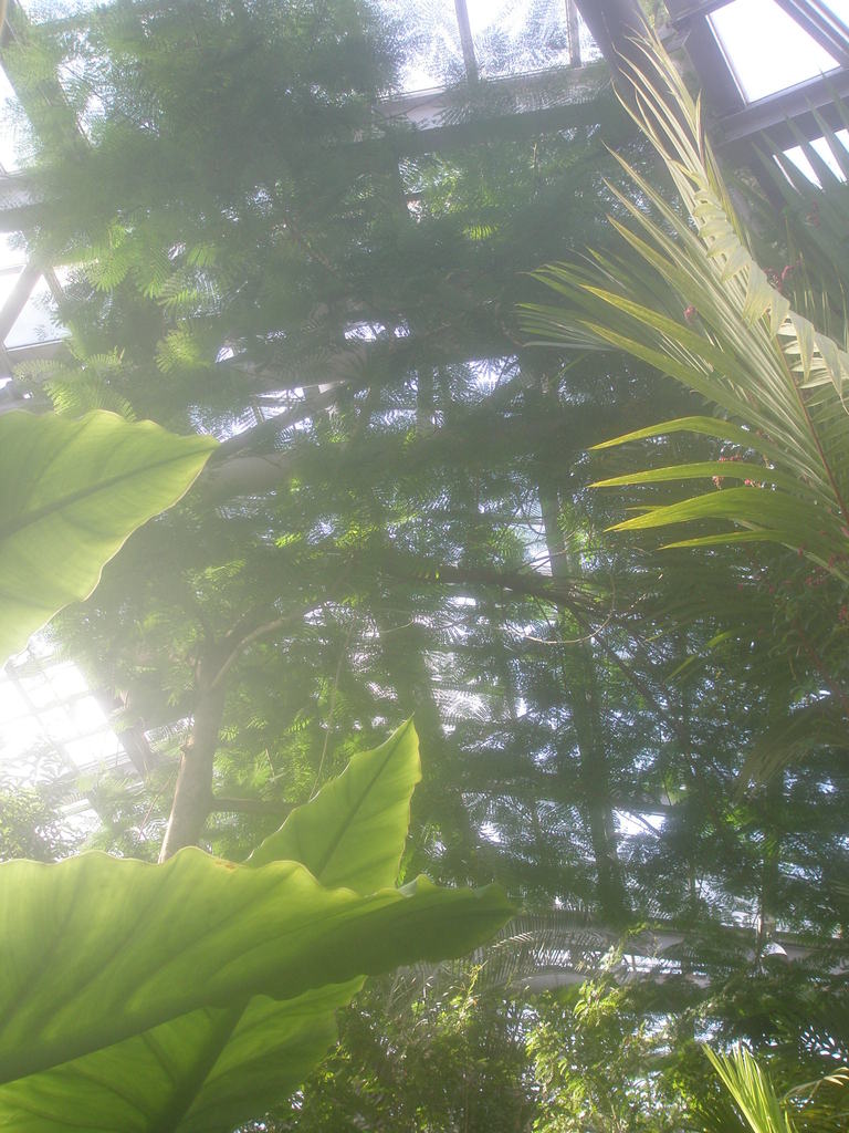 夢でみた場所