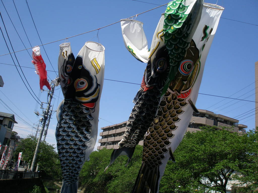 泳ぐ