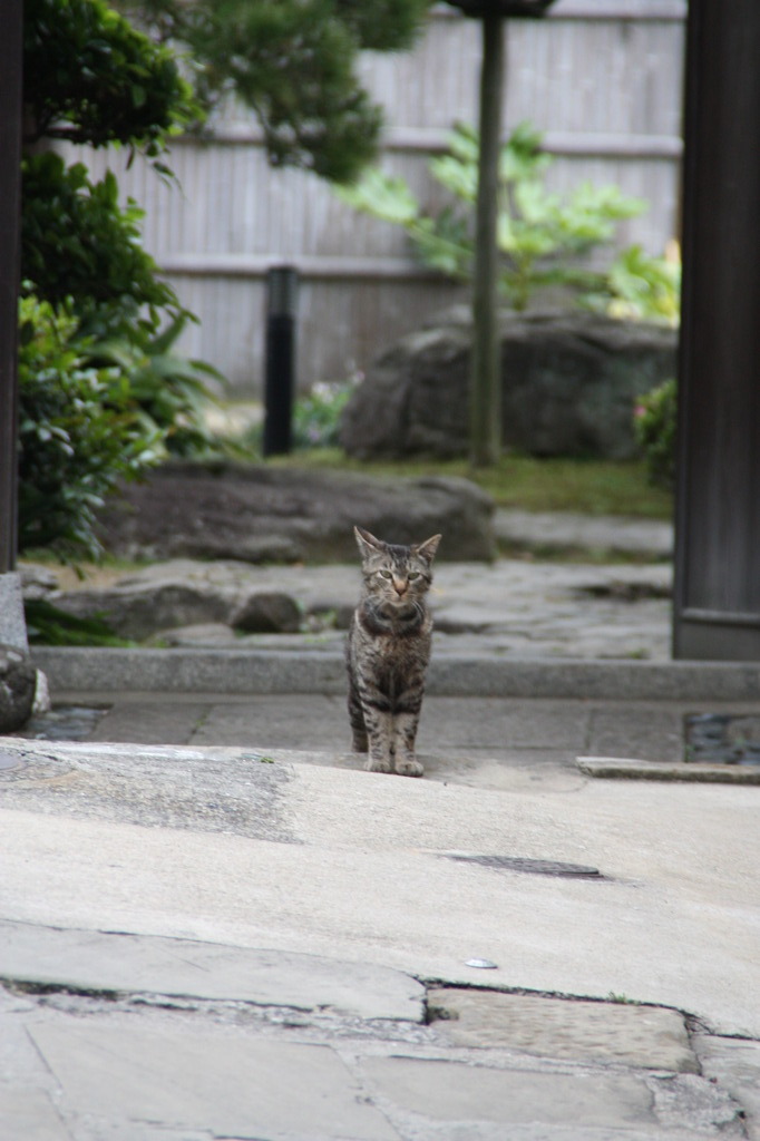 お見送り