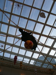 flying elephant