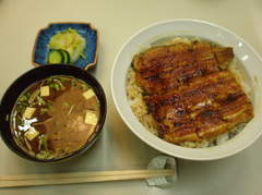 わかなの鰻丼！