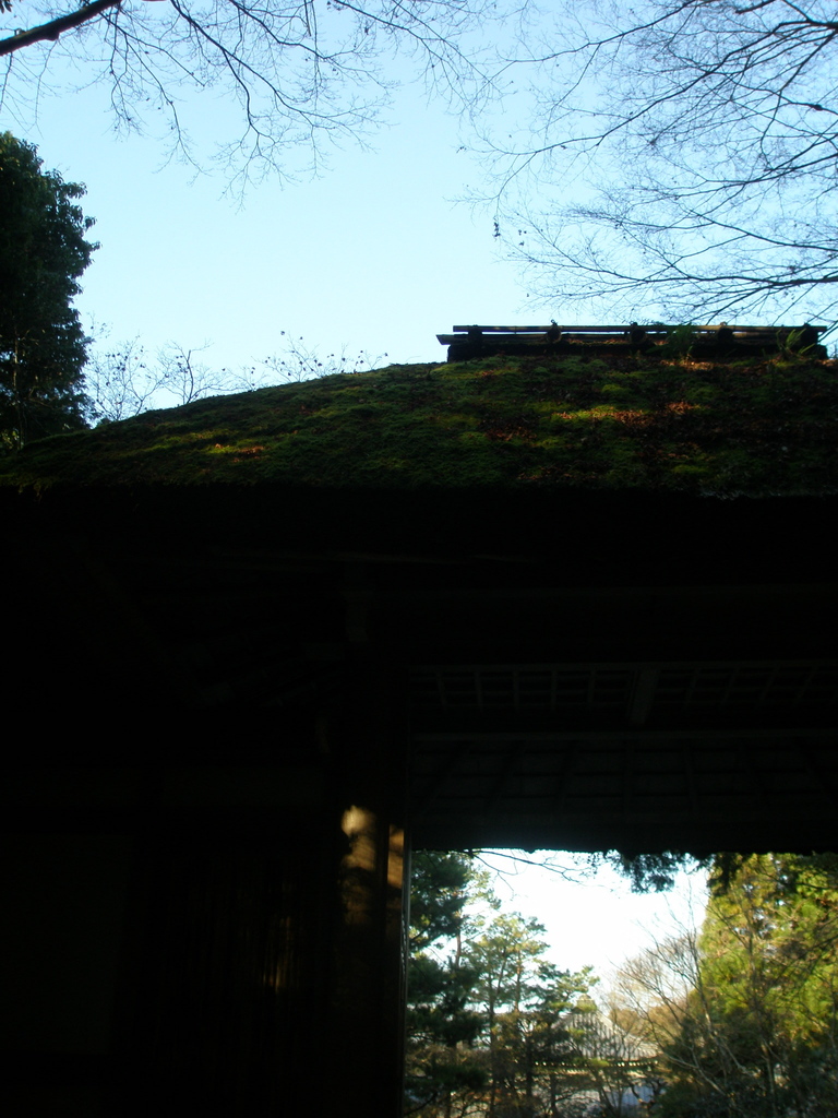 法然院