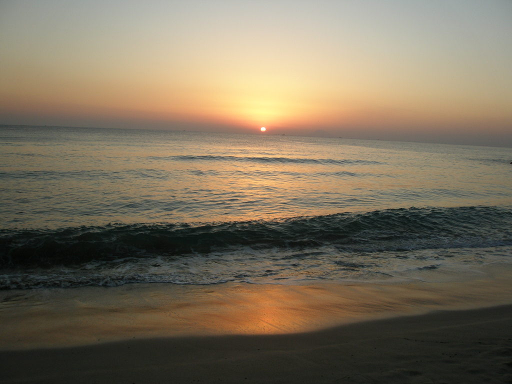 the sun also rises