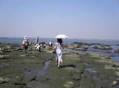 夏のお嬢さん