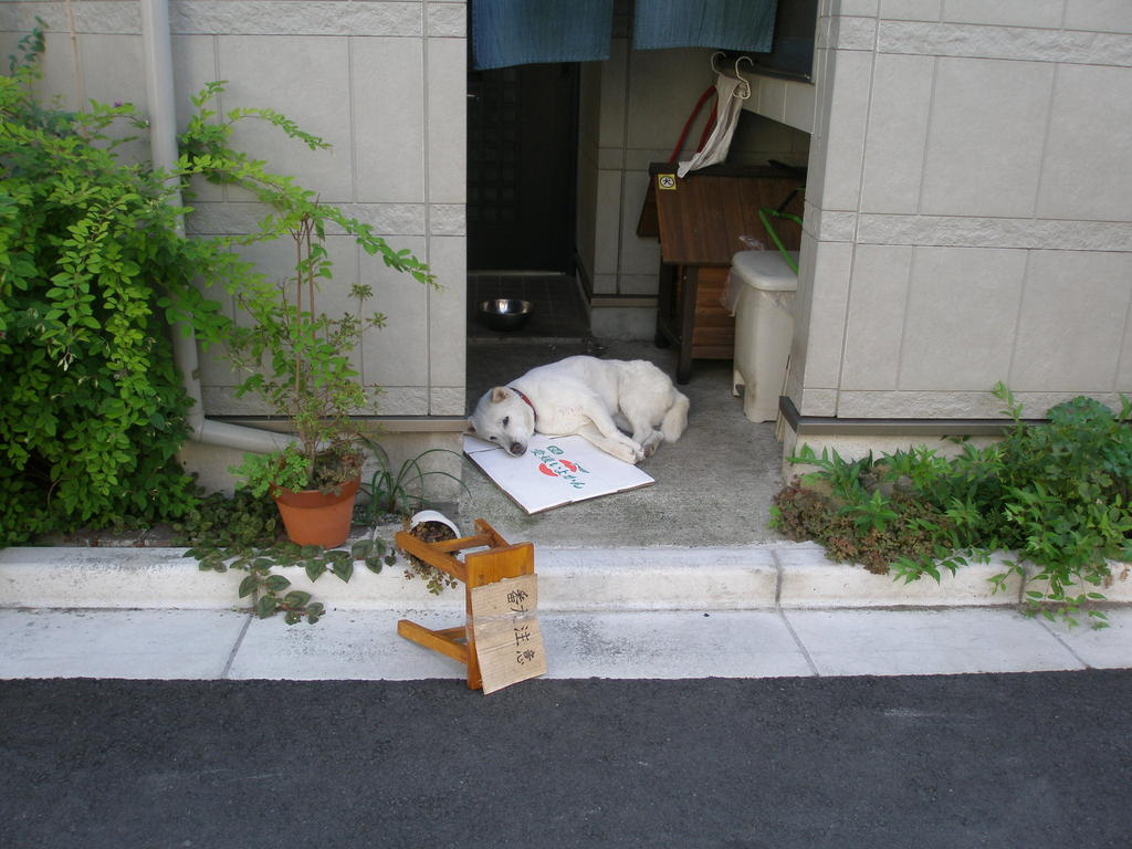 何見てんだヨ