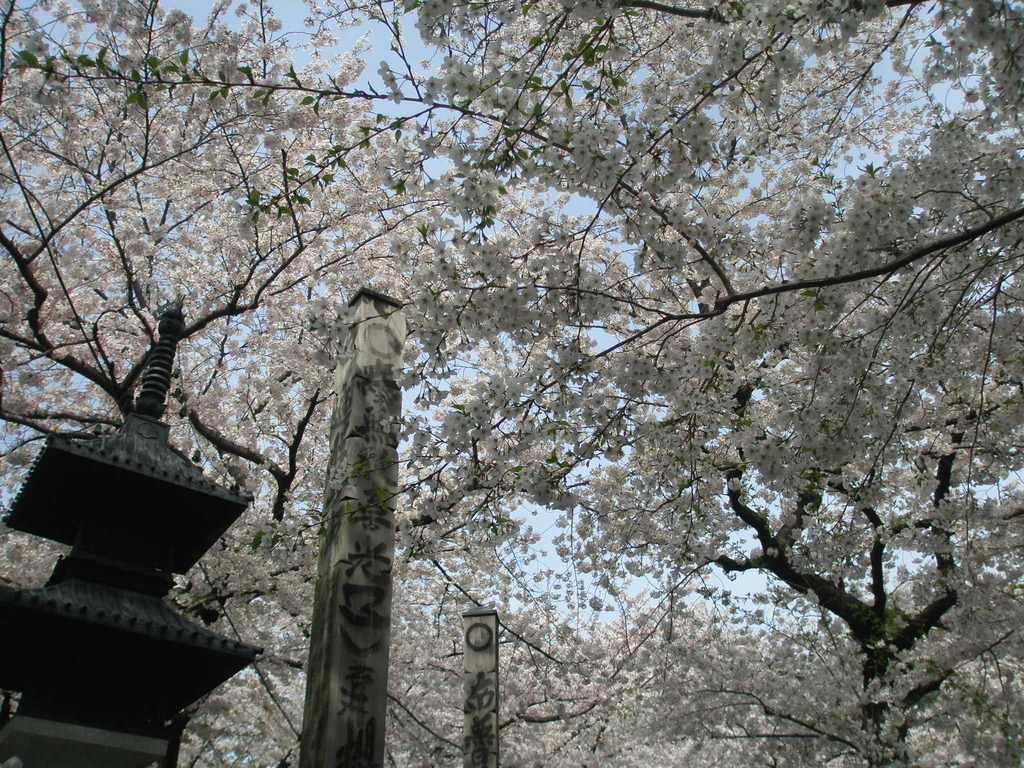 とある寺にて