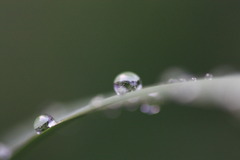 after the rain