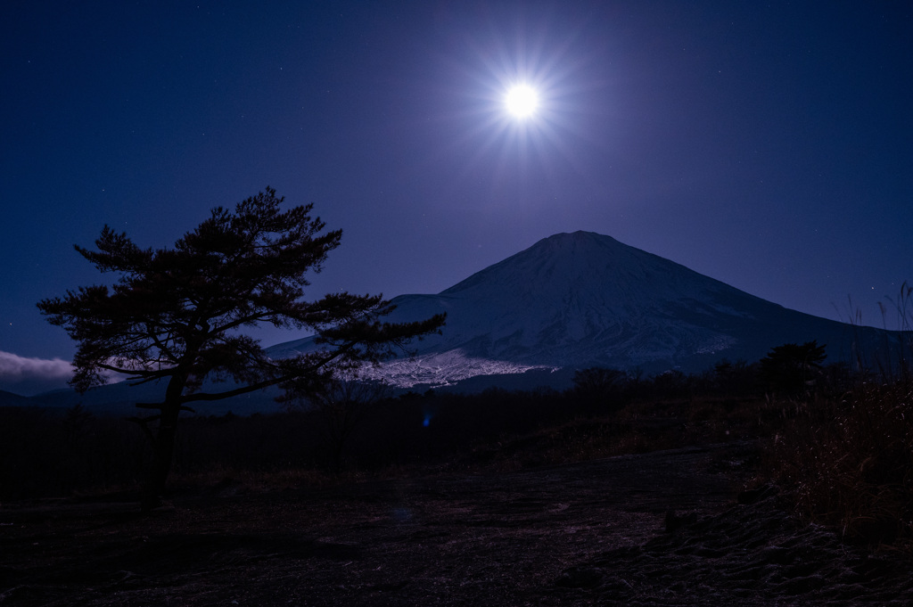 月に照らされて